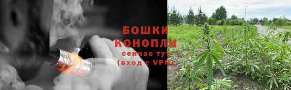 кокс Белокуриха