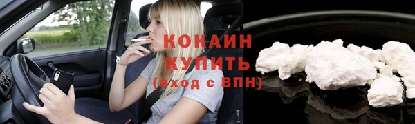 кокс Белокуриха
